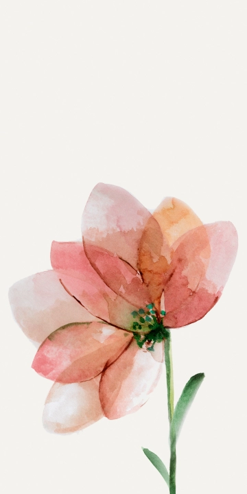 Cotto D'este Wonderwall Fleur D naturalna 50x100 cm gr. 4 mm